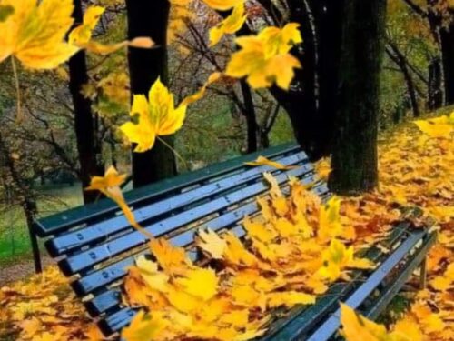 Dolce autunno