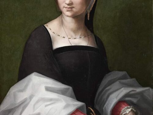 Andrea del Sarto, portrait of a woman